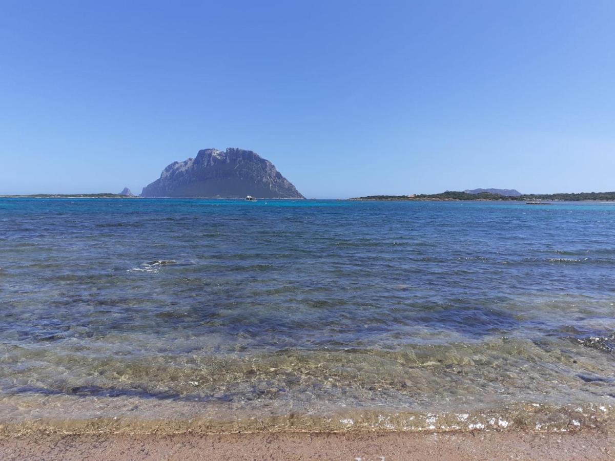 Siisa Appartamento La Muddizza Valledoria A 500 Mt Dal Mare Exteriör bild